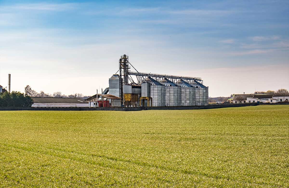 Agricultural Investment Consulting