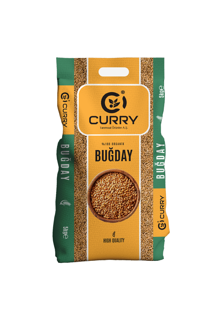 Buğday